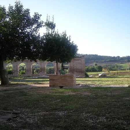 Mattei