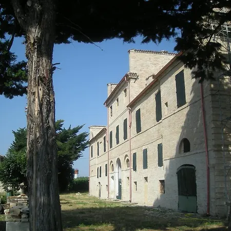 Mattei * Montecassiano