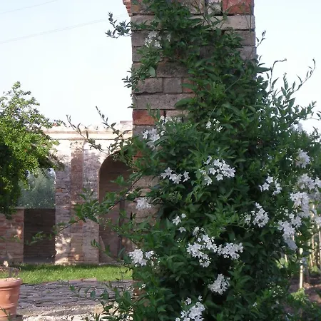 Casa di campagna Mattei Montecassiano